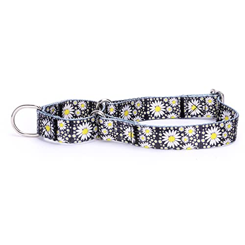 haoyueer Martingale-Hundehalsband aus strapazierfähigem Nylon, verstellbar, für Spaziergänge und Training, für Jungen und Mädchen, Größe XL: 53–62 cm, kleines Gänseblümchen) haoyueer Martingale-Hundehalsband aus strapazierfähigem Nylon, verstellbar, für Spaziergänge und Training, für Jungen und Mädchen, Größe XL: 53–62 cm, kleines Gänseblümchen) von haoyueer