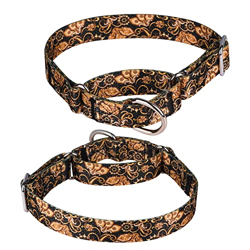 haoyueer Martingale-Hundehalsband aus strapazierfähigem Nylon, verstellbar, für Spaziergänge, Training für Jungen und Mädchen, Größe M: 36–45 cm, goldfarben von haoyueer