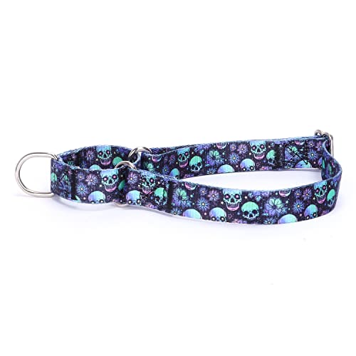 haoyueer Martingale-Hundehalsband, strapazierfähig, Nylon, verstellbar, für Spaziergänge, Training, Jungen und Mädchen, Größe L: 45–53 cm, Totenköpfe von haoyueer