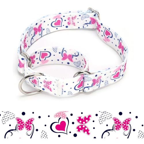 haoyueer Martingale-Hundehalsband, Hundezubehör, Hunde Halsband aus strapazierfähigem Nylon, verstellbar, für Spaziergänge, Training, Jungen und Mädchen (A85NO19, M: 36–45 cm) von haoyueer