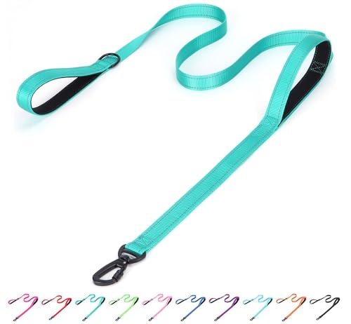 haoyueer Reflektierende Nylon-Hundeleine, robust, gepolstert, zwei Griffe, reflektierende Leine für nächtliches Sicherheitstraining, ideal für kleine, mittelgroße und große Rassen, Blaugrün, 1,5 m x haoyueer Reflektierende Nylon-Hundeleine, robust, gepolstert, zwei Griffe, reflektierende Leine für nächtliches Sicherheitstraining, ideal für kleine, mittelgroße und große Rassen, Blaugrün, 1,5 m x von haoyueer