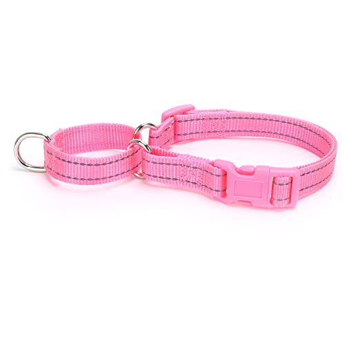 haoyueer Reflektierendes Nylon-Martingale-Halsband, Robustes Nylon, Martingal-Hundehalsband für große Rassen, Jungen und Mädchen, Hunde zum Spazierengehen, Training, den täglichen Gebrauch haoyueer Reflektierendes Nylon-Martingale-Halsband, Robustes Nylon, Martingal-Hundehalsband für große Rassen, Jungen und Mädchen, Hunde zum Spazierengehen, Training, den täglichen Gebrauch von haoyueer