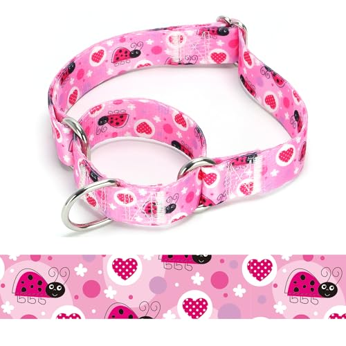 haoyueer Strapazierfähiges Martingale-Hundehalsband, Hundezubehör, Hunde Halsband aus Nylon, verstellbar, für Spaziergänge, Training, Jungen und Mädchen (A85NO7, L: 45–53 cm) von haoyueer
