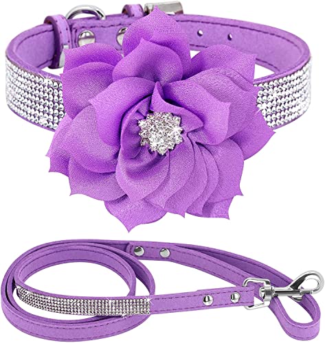 haoyueer Strass-Hundehalsband, niedlich, schillernd, funkelnd, weiches Wildleder, für Hunde und Katzen, Strass-Halsband, Leine, Kristall, Diamant, Haustier, Welpen, Halsband (XXS, Violett-6) von haoyueer