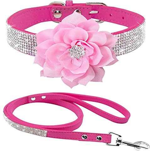 haoyueer Strass-Hundehalsband, niedlich, schillernd, funkelnd, weiches Wildleder, für Hunde, Katzen, Strasshalsband mit Leine, Kristalldiamant, Haustierhalsband für Hunde, Welpen, Größe XS, Hot Pink, von haoyueer