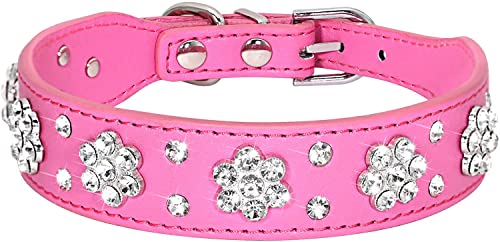 haoyueer Strass Hundehalsband, niedliche Blume Strass Katze Hundehalsband Bling Halsband PU Leder Halsband Verstellbare Größen S M M Hot Pink) von haoyueer