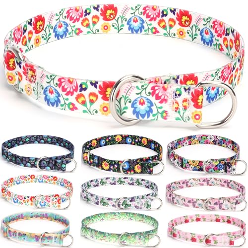 haoyueer Trainings-Hundehalsband, kein Ziehen, Martingalhalsband, Schlupfhalsband mit verschiebbarem Stop-Ring für kleine, mittelgroße und große Hunde (L, Weiß) von haoyueer