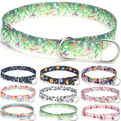 haoyueer Trainingshalsband, kein Ziehen, Martingalhalsband, Schlupfhalsband mit verschiebbarem Stoppring für kleine, mittelgroße und große Hunde (S, Gras) von haoyueer