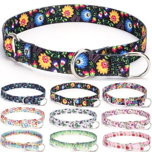 haoyueer Trainings-Hundehalsband, kein Ziehen, Martingale-Halsband, Schlupfhalsband mit verschiebbarem Stop-Ring für kleine, mittelgroße und große Hunde (M, Schwarz) von haoyueer