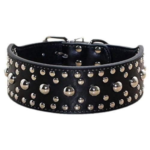 haoyueer Unisex Hundehalsband, Leder, mit Nieten, mittelgroß, für Pitbull Dobermann, Größen M L (L, Schwarz) von haoyueer