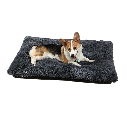Hundebett Plüsch Weich Hundematte Kleine Große Hunde Bett Flaushig Katzenbett Hunden Katzen Matte Bequem Hundedecke Schlafen Kissen Hundebetten Warm rutschfest Hundekorb Waschbar Couch für Haustier Hundebett Plüsch Weich Hundematte Kleine Große Hunde Bett Flaushig Katzenbett Hunden Katzen Matte Bequem Hundedecke Schlafen Kissen Hundebetten Warm rutschfest Hundekorb Waschbar Couch für Haustier von haozaikeji