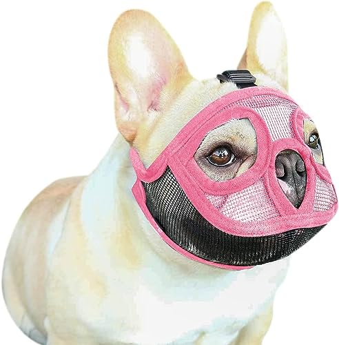 Maulkorb Hunde Atmungsaktives Mesh Maulkörbe Verstellbare Schlaufe Weiches Gewebe Maulkorb für Bulldogge Kleine Hunde Netzstoff Hundemaulkorb Verhindert Beißen Bellen und Kauen Maulkorb Hunde Atmungsaktives Mesh Maulkörbe Verstellbare Schlaufe Weiches Gewebe Maulkorb für Bulldogge Kleine Hunde Netzstoff Hundemaulkorb Verhindert Beißen Bellen und Kauen von haozaikeji