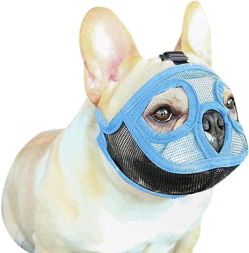 Maulkorb Hunde Atmungsaktives Mesh Maulkörbe Verstellbare Schlaufe Weiches Gewebe Maulkorb für Bulldogge Kleine Hunde Netzstoff Hundemaulkorb Verhindert Beißen Bellen und Kauen Maulkorb Hunde Atmungsaktives Mesh Maulkörbe Verstellbare Schlaufe Weiches Gewebe Maulkorb für Bulldogge Kleine Hunde Netzstoff Hundemaulkorb Verhindert Beißen Bellen und Kauen von haozaikeji