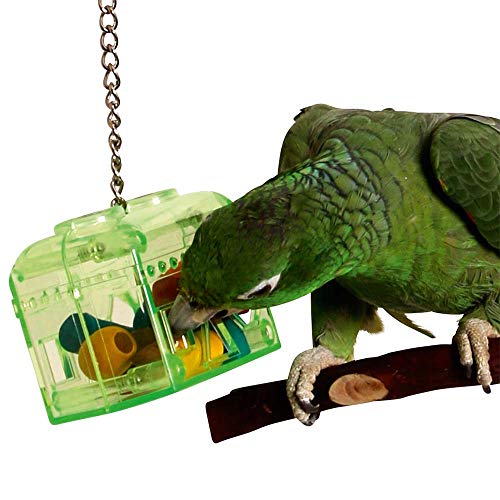 Parrot Toy Happy Pet Treasure Hunt von Happypet