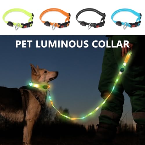 Hundehalsband,Leuchthalsband Hund USB Aufladbar,Wasserdichtes Hundehalsband Leuchtend,Einstellbar Halsband Leuchtend,für Kleine, Mittlere und Große Hunde (Grün) von harupink