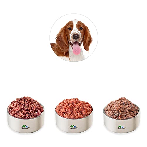 haustierkost.de gefrorenes Fertigbarf Hundefutter Rind, Huhn & Lachs (18 kg) vom Barf-Onlineshop Testsieger von haustierkost.de