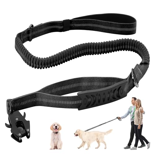 Hundeleine für Mittelgroße und Große Hunde - Reflektierend, 1.2-1.8m, Mit Ruckdämpfer und Gepolstertem Griff - Autosicherheitsgurt (Schwarz) Hundeleine für Mittelgroße und Große Hunde - Reflektierend, 1.2-1.8m, Mit Ruckdämpfer und Gepolstertem Griff - Autosicherheitsgurt (Schwarz) von heedpeiur