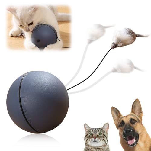 heepqy Interaktiver Katzenspielzeugball, 2024 Neu Katzenspielzeug Selbstbeschäftigung, 360° Automatisches Katzenspielzeug Rollender Ball mit gefälschter Maus, Katzenball Elektrisch für Katzen (Grau) heepqy Interaktiver Katzenspielzeugball, 2024 Neu Katzenspielzeug Selbstbeschäftigung, 360° Automatisches Katzenspielzeug Rollender Ball mit gefälschter Maus, Katzenball Elektrisch für Katzen (Grau) von heepqy