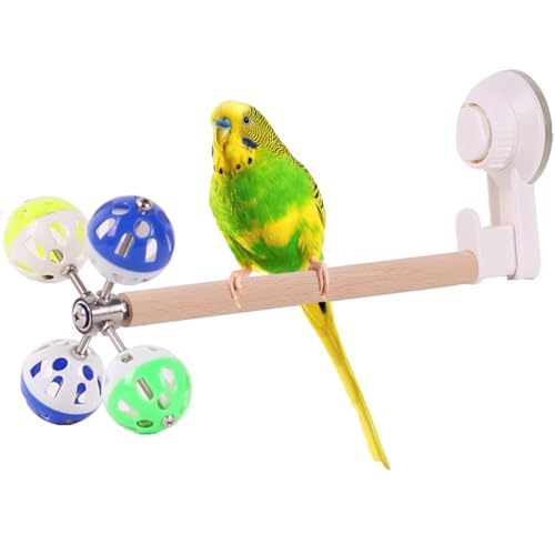 Vogelsitzstange Spielzeug mit Fenster Saugnapf für Sittich, Papagei Mobile Vogelsitzstange Halter mit drehenden Kugeln, Fensterspiegel Glashalterung Glocken, Spielzeug Vogelsitzstange Spielzeug mit Fenster Saugnapf für Sittich, Papagei Mobile Vogelsitzstange Halter mit drehenden Kugeln, Fensterspiegel Glashalterung Glocken, Spielzeug von hereex