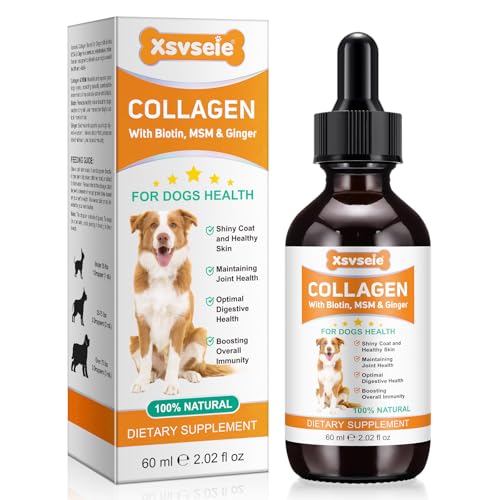 herlosfeel 60 Ml FlüSsiges Kollagen Hund,Collagen FüR Hunde,Gelenk- & Knochenschutz FüR Hunde,GläNzendes Fell Und Gesunde Haut,Optimale Verdauungsgesundheit,StäRkung Der Allgemeinen ImmunitäT for Dog herlosfeel 60 Ml FlüSsiges Kollagen Hund,Collagen FüR Hunde,Gelenk- & Knochenschutz FüR Hunde,GläNzendes Fell Und Gesunde Haut,Optimale Verdauungsgesundheit,StäRkung Der Allgemeinen ImmunitäT for Dog von herlosfeel