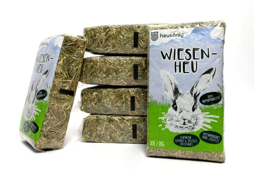 6 kg Wiesenheu in handlichen 1kg Beuteln (6kg) - Futter und Einstreu für Kleintiere von heukoenig.de