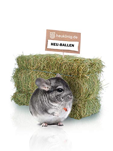 heukoenig.de - Heuballen - aus Wiesenheu - für Kaninchen, Meerschweinchen, Pferde - aus Deutscher Ernte (1 Ballen) von heukoenig.de
