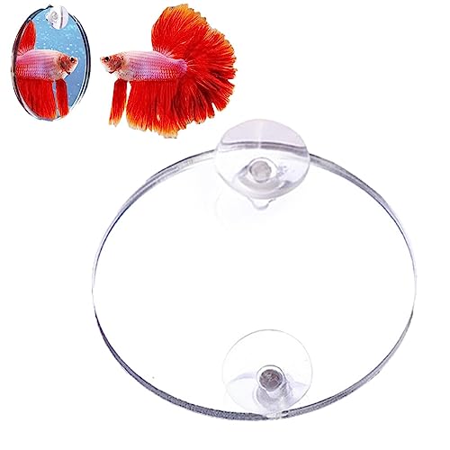 Betta Fischspiegel – doppelseitiger Betta-Spiegel aus Acryl | thematische Ornamente für Aquarium, Haus, Büro, Wohnzimmer, Aquarien, Hoteldekor Higyee von higyee