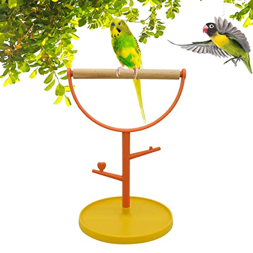 Ständer für Vogelsitzstange, Ständer für Sittiche, tragbar, bissfest, für unzertrennliche Sittiche, Nymphensittiche von higyee