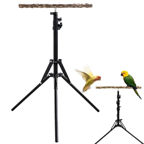 Verstellbarer Vogelständer, Papageienständer für große Vögel | 15,74-61,81 Zoll höhenverstellbare für Papageien - Vogelsitzstange, Papageiensitzstange für kleine bis mittelgroße Vögel von higyee