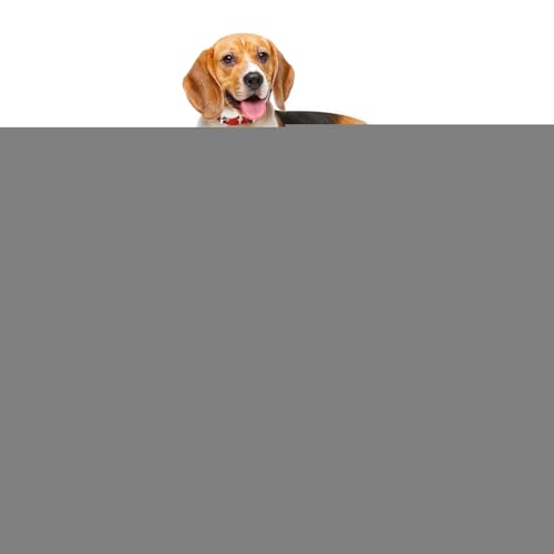 higyee Erhöhtes Hundebett - Atmungsaktives Outdoor Hochgelegtes Hundebett | Waschbares Robustes Kühlkissen Für Auto Terrasse Reise Welpen Camping von higyee