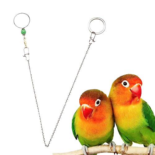 higyee Papageienkragen | Halsband für Vögel, rostfrei, beque , mit Sicherheitsschnalle mit 8 Zeichen Ringe für Nymphensittiche von higyee