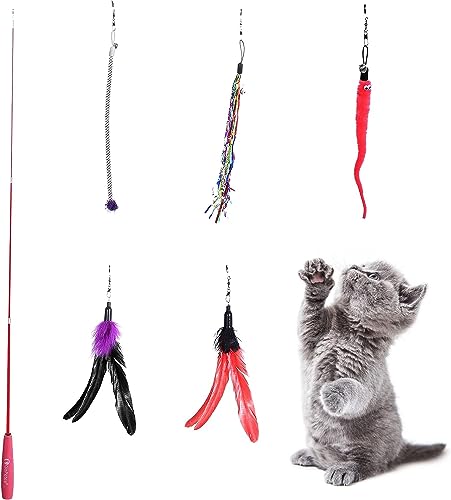 himaly katzenspielzeug Angel, Katzenangel Spielzeug für Kätzchen und Katzen, 1 Skalierbar Stangen, 2 Federanhänger, 3 Katzenspielzeug mit Glocke und Anhänger himaly katzenspielzeug Angel, Katzenangel Spielzeug für Kätzchen und Katzen, 1 Skalierbar Stangen, 2 Federanhänger, 3 Katzenspielzeug mit Glocke und Anhänger von himaly