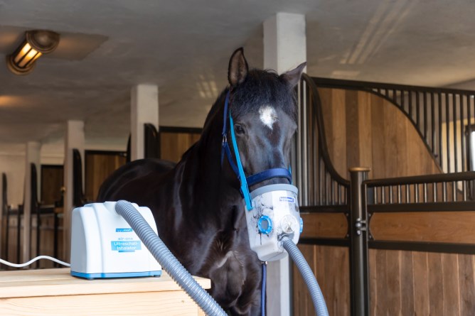 hippomed Ultraschall-Inhalator AirOne Komplettset inkl. Warmblutmaske hippomed Ultraschall-Inhalator AirOne Komplettset inkl. Warmblutmaske von hippomed