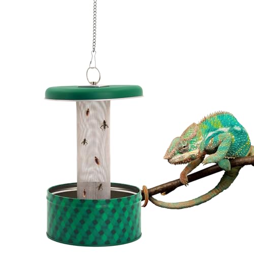 Bartdrachen Feeder, Chamäleon Bug Bowl, Transparentk Acryl Reptilien Feeder Box, Wandmontierter Insektenfutterspender mit Saugnäpfen, Tank und Aquarium Zubehör für Eidechse Bartagame Gecko Frosch Bartdrachen Feeder, Chamäleon Bug Bowl, Transparentk Acryl Reptilien Feeder Box, Wandmontierter Insektenfutterspender mit Saugnäpfen, Tank und Aquarium Zubehör für Eidechse Bartagame Gecko Frosch von hisunfarm