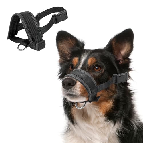 Hundehalfter gegen Ziehen, verstellbar, sanftes Trainingshalsband mit gepolstertem Nasenband, leicht, bequem für mittelgroße und große Hunde, einfache Kontrolle beim Spazierengehen, Sicherheit Hundehalfter gegen Ziehen, verstellbar, sanftes Trainingshalsband mit gepolstertem Nasenband, leicht, bequem für mittelgroße und große Hunde, einfache Kontrolle beim Spazierengehen, Sicherheit von hoeslaw