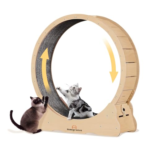 homegroove Katzenlaufrad, 35,4 Zoll (90 cm) Laufrad für Wohnungskatzen, Katzenlaufrad-Laufband mit abnehmbarem Teppich zur Gewichtsabnahme und Gesundheitsförderung bei Katzen (Natural Wood Color, M) homegroove Katzenlaufrad, 35,4 Zoll (90 cm) Laufrad für Wohnungskatzen, Katzenlaufrad-Laufband mit abnehmbarem Teppich zur Gewichtsabnahme und Gesundheitsförderung bei Katzen (Natural Wood Color, M) von homegroove