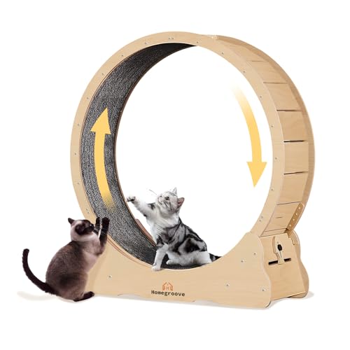 Homegroove Katzen-Laufrad für Indoor-Katzen, Katzen-Laufrad mit Teppichlaufbahn, Katzensport-Laufband für längere Lebensdauer, Fitness-Gewichtsverlustgerät, 99,8 cm hoch, Naturholzfarbe (M) von homegroove