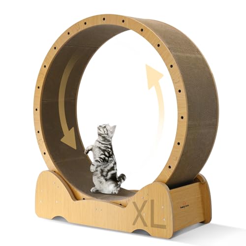 Homegroove Wellpappe Katze Übung Rad, große Katze Räder für Indoor-Katzen, vielseitig Laufrad Laufband für Katzen Gewichtsverlust und Gesundheit (Natural Wooden, XL) von homegroove