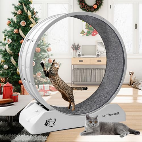 homegroove 31,5 Zoll Katzenräder für Indoor-Katzen, Plastik Katze Übung Laufband Rad mit Teppich Startbahn für Kätzchen tägliche Übung und Gewichtsverlust (Grey-Grey Carpet) von homegroove