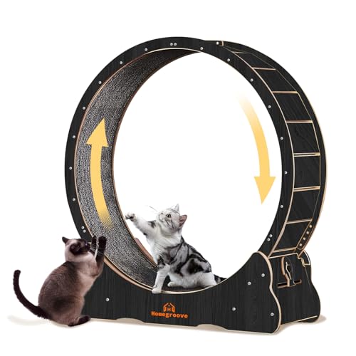 homegroove Katzenlaufrad, 35,4 Zoll (90 cm) Laufrad für Wohnungskatzen, Katzenlaufrad-Laufband mit abnehmbarem Teppich zur Gewichtsabnahme und Gesundheitsförderung bei Katzen (Black, L) von homegroove