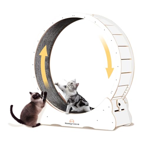 homegroove Katzenlaufrad, 35,4 Zoll (90 cm) Laufrad für Wohnungskatzen, Katzenlaufrad-Laufband mit abnehmbarem Teppich zur Gewichtsabnahme und Gesundheitsförderung bei Katzen (White, XL) von homegroove