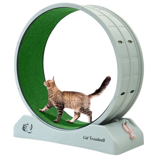 homegroove Katzenräder für Indoor-Katzen, 101,6 cm, Kunststoff-Katzenlaufrad mit Teppichlaufbahn, großes Katzen-Laufband, Trainingsgerät für längere Lebensdauer (Grau, L) von homegroove