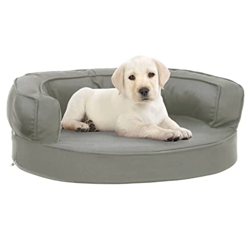 homiuse Hundematratze Ergonomisch 60x42 cm Leinenoptik Grau Hundekissen Katzenbett Hundebett Grosse Hundekorb Katzenkorb HundeköRbchen Hundebetten Hundekorb Grosse Hunde Dog Bed rutschfeste homiuse Hundematratze Ergonomisch 60x42 cm Leinenoptik Grau Hundekissen Katzenbett Hundebett Grosse Hundekorb Katzenkorb HundeköRbchen Hundebetten Hundekorb Grosse Hunde Dog Bed rutschfeste von homiuse