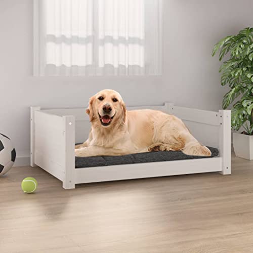 homiuse Hundebett Katzenbett Weiß 75,5x55,5x28 cm Massivholz Kiefer Hundekorb Katzenkorb Hundebett Grosse Hundebett MittelgroßE Hundebetten Hundesofa Hundekorb Grosse Hunde Montageanleitung homiuse Hundebett Katzenbett Weiß 75,5x55,5x28 cm Massivholz Kiefer Hundekorb Katzenkorb Hundebett Grosse Hundebett MittelgroßE Hundebetten Hundesofa Hundekorb Grosse Hunde Montageanleitung von homiuse