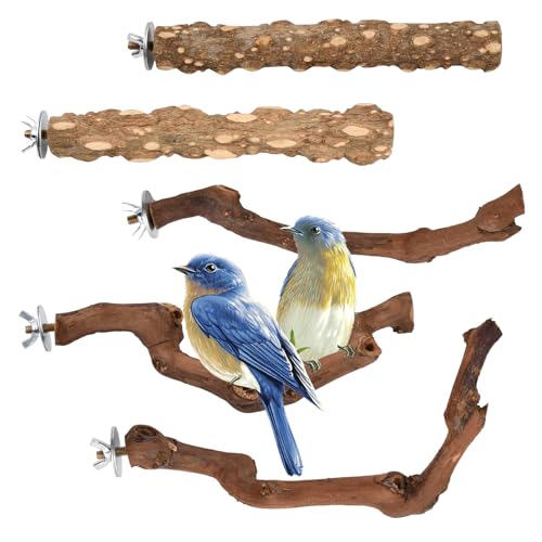 5 Stück Naturholz Vogel Sitzstangen, Natur Sitzstangen Set Für Vögel, Vogel aus Naturholz, Sitzstangen für Vogelkäfige, T-Form Natürlicher Sitzstangen für Vögel Holz, für Nymphensittich Kanarienvogel 5 Stück Naturholz Vogel Sitzstangen, Natur Sitzstangen Set Für Vögel, Vogel aus Naturholz, Sitzstangen für Vogelkäfige, T-Form Natürlicher Sitzstangen für Vögel Holz, für Nymphensittich Kanarienvogel von hongmo