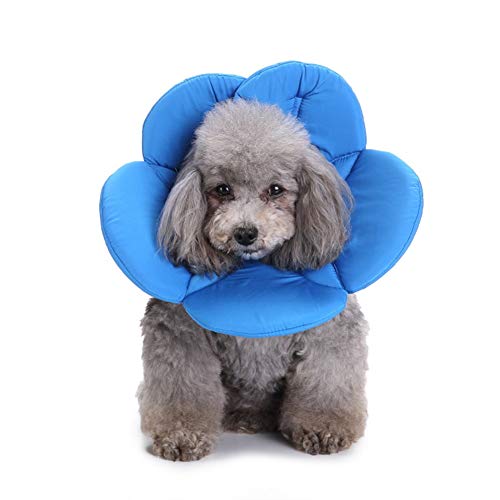 Halskrause Hund Schutzkragen Elisabethanisches Halsband für Hunde Kegel für Hunde Haustierschutzhalsband Hundekopfkegel Katzenschutzhalsband Blue,S Halskrause Hund Schutzkragen Elisabethanisches Halsband für Hunde Kegel für Hunde Haustierschutzhalsband Hundekopfkegel Katzenschutzhalsband Blue,S von hongyupu