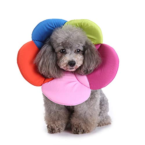 Halskrause Hund Schutzkragen Elisabethanisches Halsband für Hunde Kegel für Hunde Haustierschutzhalsband Hundekopfkegel Katzenschutzhalsband Colored,S Halskrause Hund Schutzkragen Elisabethanisches Halsband für Hunde Kegel für Hunde Haustierschutzhalsband Hundekopfkegel Katzenschutzhalsband Colored,S von hongyupu
