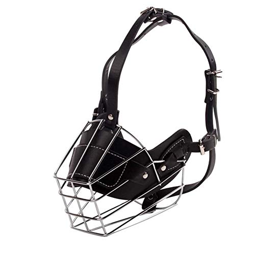 Maulkorb Kleine Hunde Maulkorb Für Große Hunde Maulkorb Für Kleine Hund Maulkörbe Zu Verhindern Kauen Maulkörbe Zu Verhindern Essen Black,XL Maulkorb Kleine Hunde Maulkorb Für Große Hunde Maulkorb Für Kleine Hund Maulkörbe Zu Verhindern Kauen Maulkörbe Zu Verhindern Essen Black,XL von hongyupu