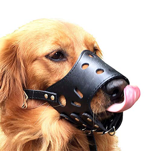 Maulkorb Kleine Hunde Maulkorb Hunde Maulkorb Für Kleine Hund Anti Bellen Maulkorb Hund Mund Abdeckung Maulkorb Für Große Hunde Black,M Maulkorb Kleine Hunde Maulkorb Hunde Maulkorb Für Kleine Hund Anti Bellen Maulkorb Hund Mund Abdeckung Maulkorb Für Große Hunde Black,M von hongyupu
