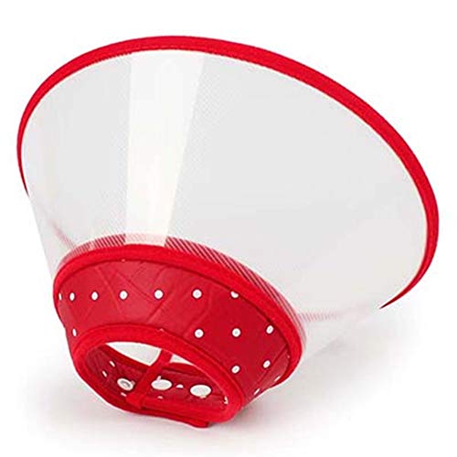 Schutzkragen Hundekragen Hundehalsband Katzenhalsbänder Kegel Einstellbare Haustiere Kegel Medizinische Halsbänder für Hunde Katzenschutzhalsband red,S Schutzkragen Hundekragen Hundehalsband Katzenhalsbänder Kegel Einstellbare Haustiere Kegel Medizinische Halsbänder für Hunde Katzenschutzhalsband red,S von hongyupu